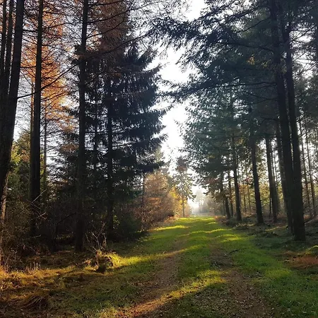 Hébergement de vacances 6 Person In Toftlund-by Traum *