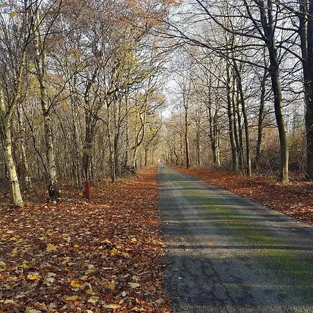 6 Person In Toftlund-by Traum Hébergement de vacances