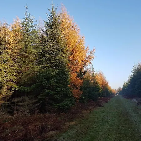 Hébergement de vacances 6 Person In Toftlund-by Traum *