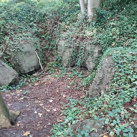6 Person In Toftlund-by Traum Hébergement de vacances Vestergård